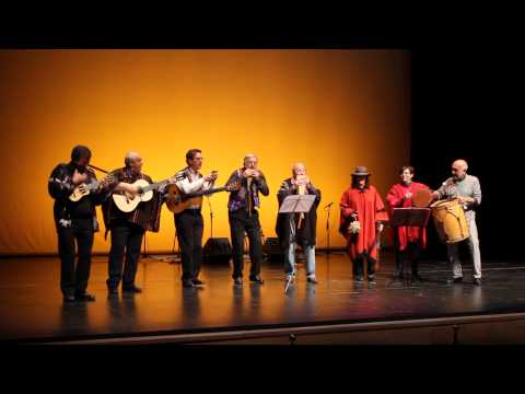 CACHARPAYA DEL CARNAVAL.