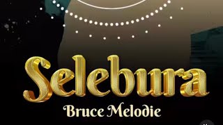 Selebura by Bruce Melodie(Official lyrics video)