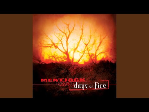Days of Fire