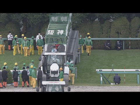 2021 Kikuka Sho (Japanese St. Leger) (G1) | JRA Official