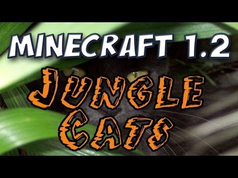 Minecraft - Cats & Kittens! (Patch 1.2 pre-release 04a)
