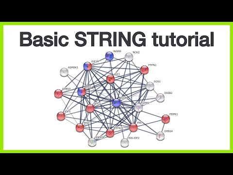 Basic STRING tutorial: Protein query, network views, query parameters, and enrichment visualization