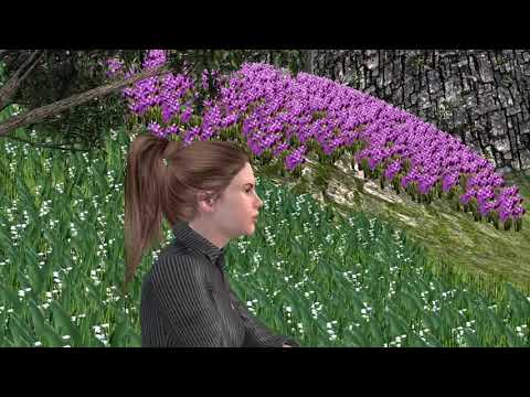 Lucica Toader - Hotarare