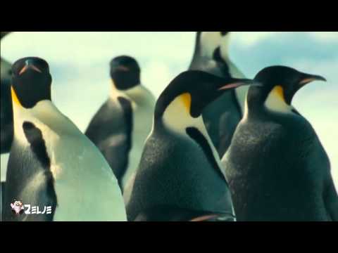 Jean Michel Jarre - Oxygene part 4 (1976)