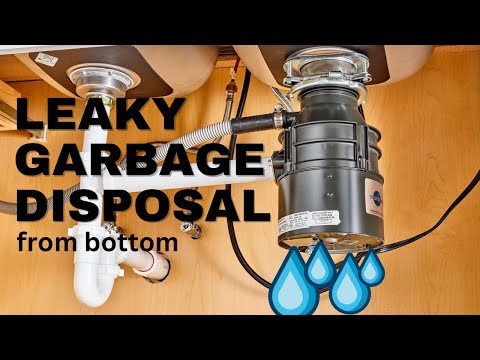 Leaking Garbage Disposal? Quick Fix Trick Revealed! Leaky Garbage Disposal From Bottom DIY Repair