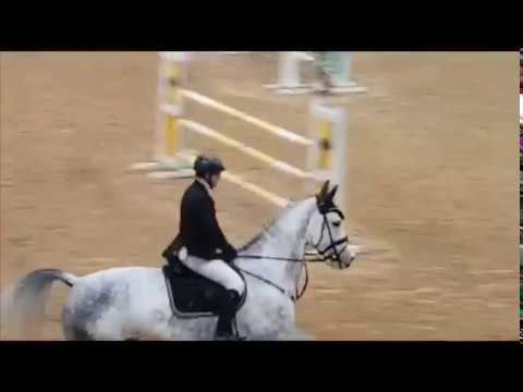 Chiquitita *11, Camax L x Noble Champion x Grandeur