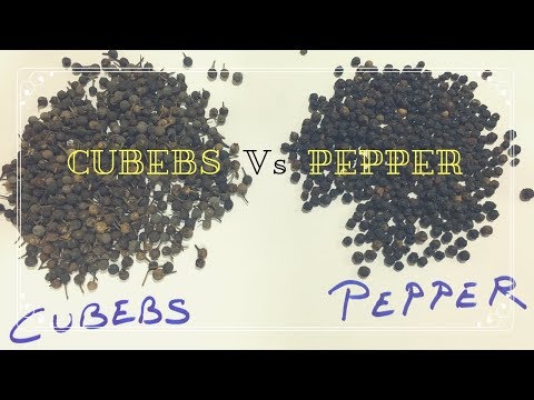 HOW TO FIND DIFFERENCE BETWEEN CUBEB AND PEPPER || வால்மிளகு Vs மிளகு
