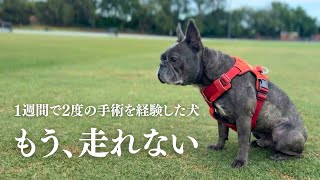【術後の真実】もう、あの頃のようには走れない？術後の日常Vlog
