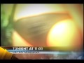 11p Topical Sex Addict