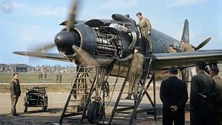 The Fall of the Luftwaffe: Arrogance and Ruin in WWII. The Blunders That Cost Germany the Air War