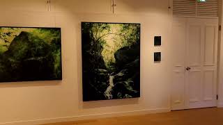 2025波動展林絵美