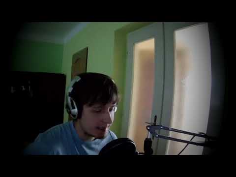 Sosna - Nedvědi (cover)