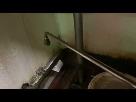 Kitchen in the Restaurant Infested with Cockroaches in Tinton Falls, NJ