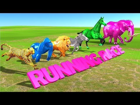 Learn Wild Animals Running Race Video For Kids - Wild Animals Names & Sounds For Children Toddlers