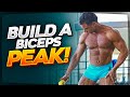 Build a Biceps Peak with this exercise!!