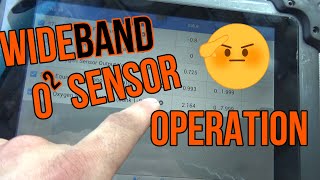 Wide Band Oygen Sensor operation