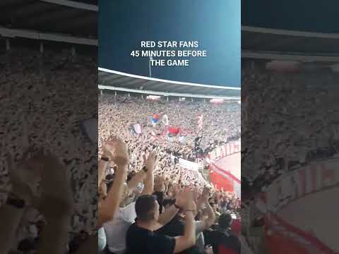 FC RED STAR BELGRADE-FC YOUNG BOYS Champions League#redstar#звезда#ultras#championsleague#serbia❤🤍🇷🇸