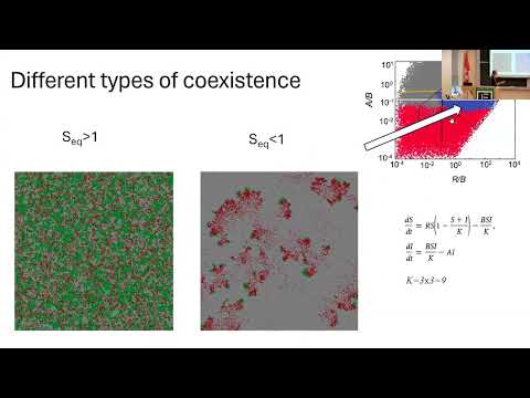 Mutant fixation in the presence of a natural enemy (and other stories)