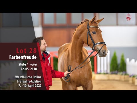 Online Frühjahrs-Auktion Lot 28 Farbenfreude Stute v. Farbenspiel - Rousseau
