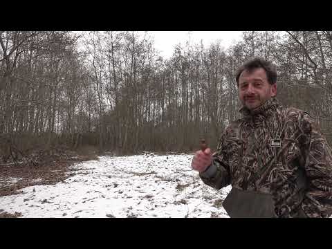 Hvordan bruger du et PC2 ræve lokkekald