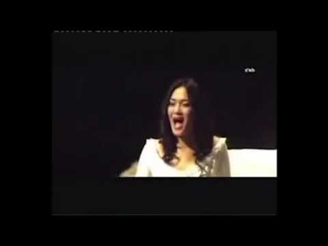 Ariunaa & Delgermurun - Shunu Dundiin Bujig MV