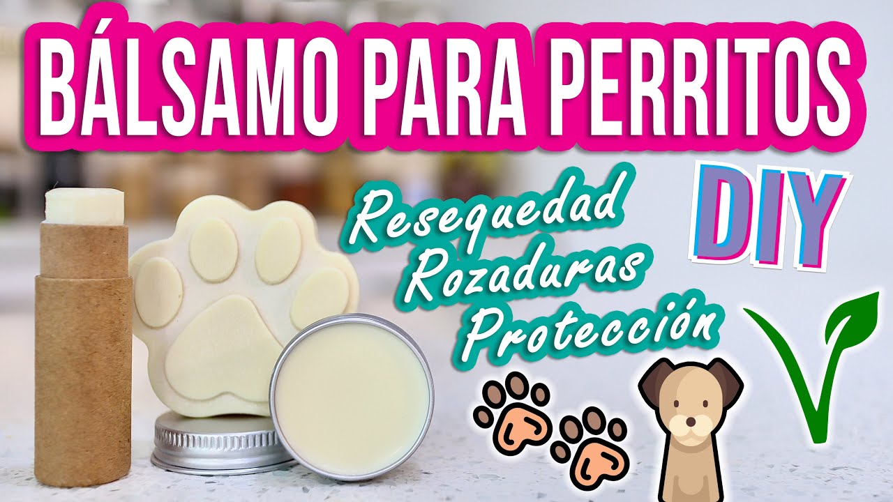 Watch BÁLSAMO PARA HUELLITAS Y NARICES DE PERRITOS - DIY ZERO WASTE VEGANO - Mixi Now BÁLSAMO PARA HUELLITAS Y NARICES DE PERRITOS - DIY ZERO WASTE VEGANO - Mixi