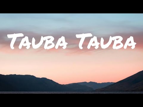 Tauba tauba song| Karan aujila | Vicky kaushal| Tripti dimri