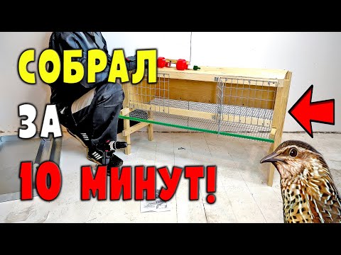 , title : 'Новая клетка для перепелов. Собрать за 10 минут!'