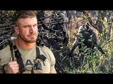 37 Insane Bow Hunts in 17 mins W/ BEAST Broadheads