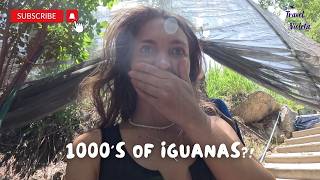 The Hidden Iguanas Sanctuary You Need to See in Puerto Escondido 🇲🇽 [4K]