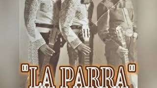 La Parra Lyrics English Translation