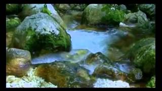 Открой для себя Словению