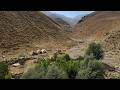 Hard Life Of The Nomads Of Zagros Mountains Far From Civilization