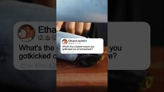 Download lagu Vhat's the craziest reason yougolikicke out of somawhere?storytime #story #redditme mp3 Download lagu Vhat's the craziest reason yougolikicke out of somawhere?storytime #story #redditme mp3