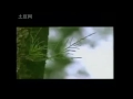 Ost. Kera sakti - hwu gin wa