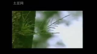 Download lagu Ost. Kera sakti - hwu gin wa mp3