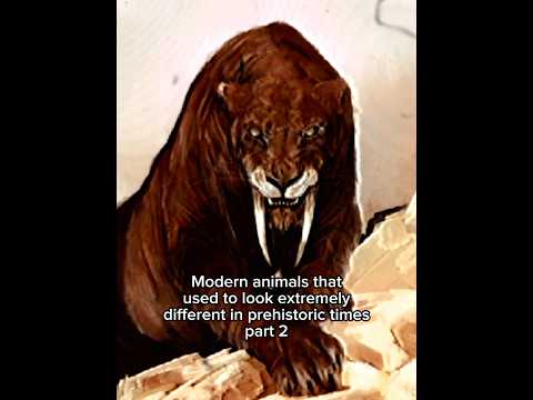 Modern animals that used to look extremely different in prehistoric times #extinctanimals