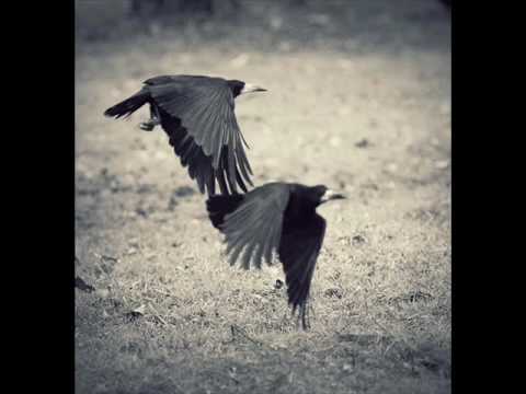 Georgeta Voinovan - RAMAI.wmv