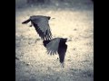 Georgeta Voinovan - RAMAI.wmv 