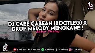 Download lagu DJ CABE CABEAN (BOOTLEG) X DROP MELODY MENGKANE VIRAL TIKTOK TERBARU 2024 ! mp3
