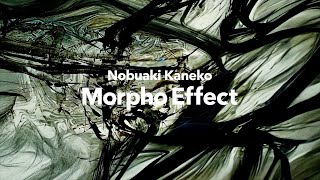 Nobuaki Kaneko - Morpho Effect - Official Music Video