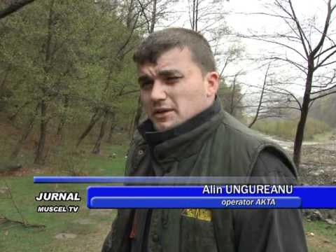 jurnal 19 04 2012 scurt 1   akta   bogdan burhan   fibra optica rupta lunca gartii