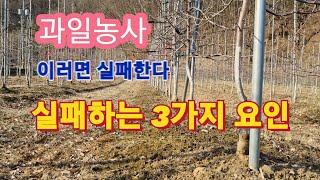 과일농사 이러면 실패한다 실패하는 원인 3가지