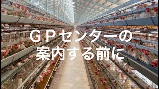 Re: [新聞] 要蓋第二座養雞場！雲林大有村民抗爭「拒絕雞屎味污染」