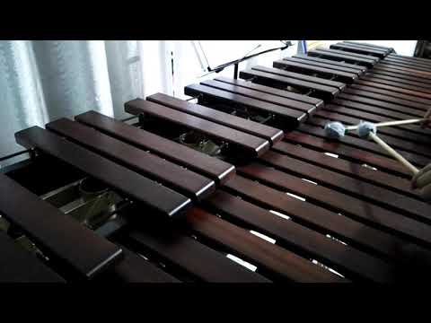 Inni di lode N°491: Ma verrà il giorno Marimba Cover
