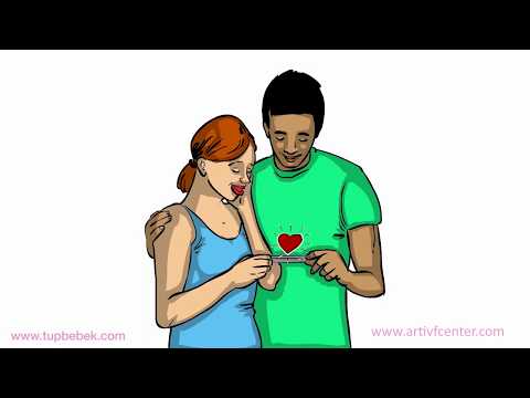 Understanding IVF: A Medical Animation Explained by Dr. Senai Aksoy