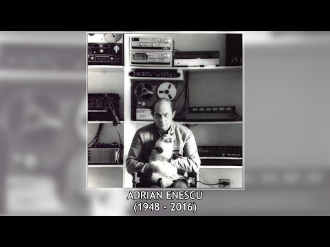 Silvia Dumitrescu - In memoriam Adrian Enescu (1948 - 2016)