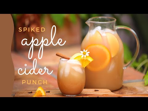 Apple Cider | Large Batch Cocktails | Holiday Drinks | Punch