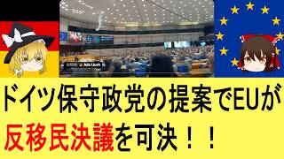 ドイツ保守政党の提案でEUが反移民決議を可決！！