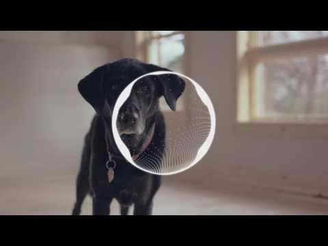 [Dubstep] Cherney & TRNWREK - Virus